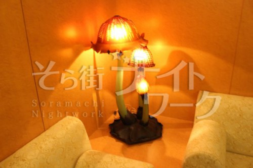 2019年3月20日　全国で一番早いソメイヨシノが開花しました