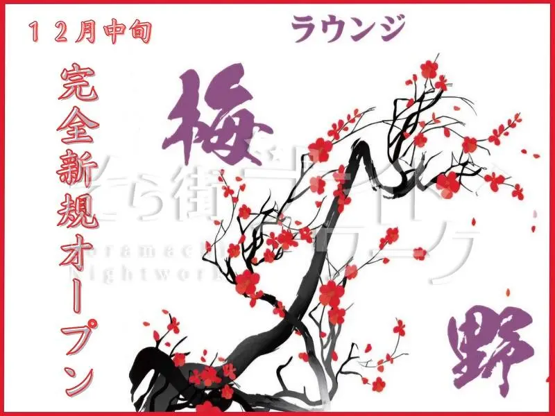 【完全新規オープン】法人経営の安心感♪20代～50代活躍中！