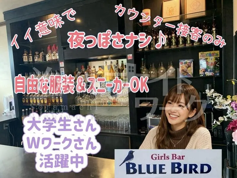 鳥取大学すぐ♪カウンターのみでナイト感ゼロの安心感☆日払いOK！