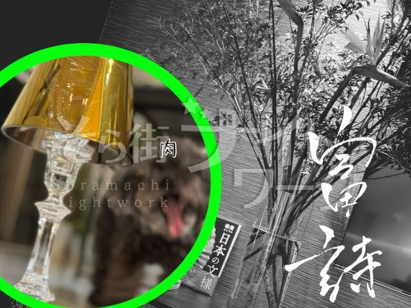 新しい空気感♪必見!当日終われる19時~24時までのレア勤務♪