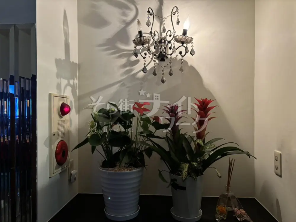 パンツスタイルもOK♪『喫茶店』みたいに働ける愛されスナック♪