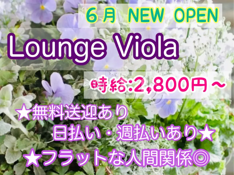 徳島市 ラウンジ Lounge Violaのバイト求人
