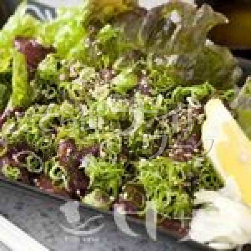 ★食べ放題・飲み放題で3,996円★食べ物・飲み物が合せて90種。8名様以上なら、船盛サービスします♪【朝５時まで営業】各種宴会にどうぞ♪
